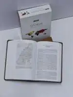 global-study-bible
