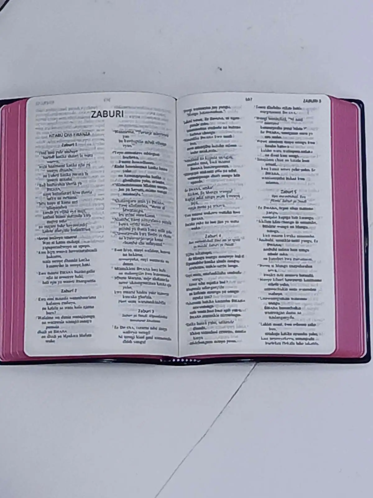 neno-small-bible