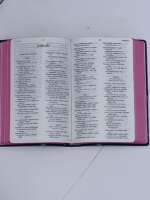 neno-small-bible
