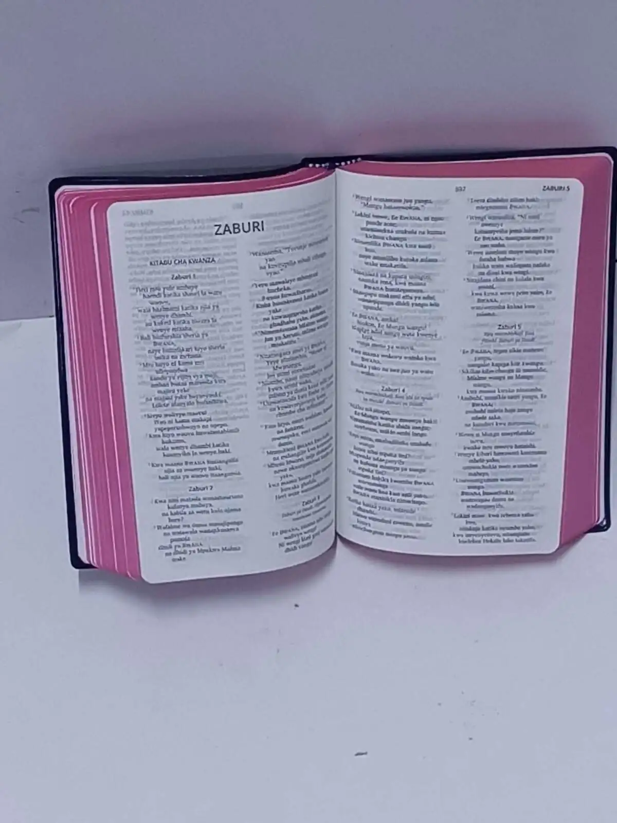 neno-small-bible