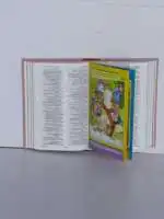 niv-joy-bible
