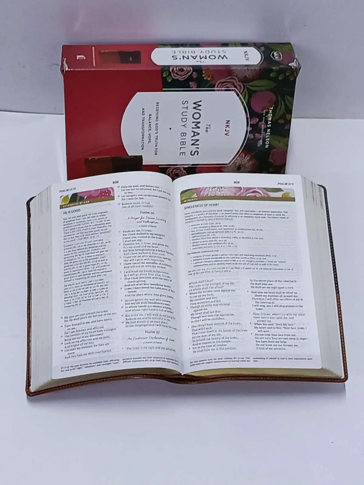 womans-study-bible
