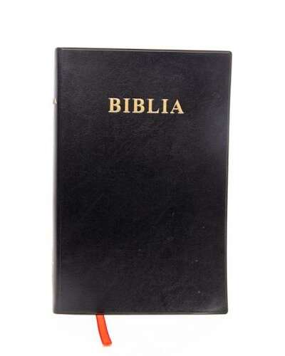 kiswahili-bible-1100