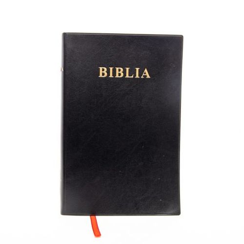 kiswahili-bible-1100