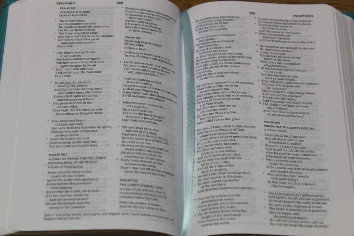 nkjv-a5-compact-thinline-bible-turquoise-4300-iv