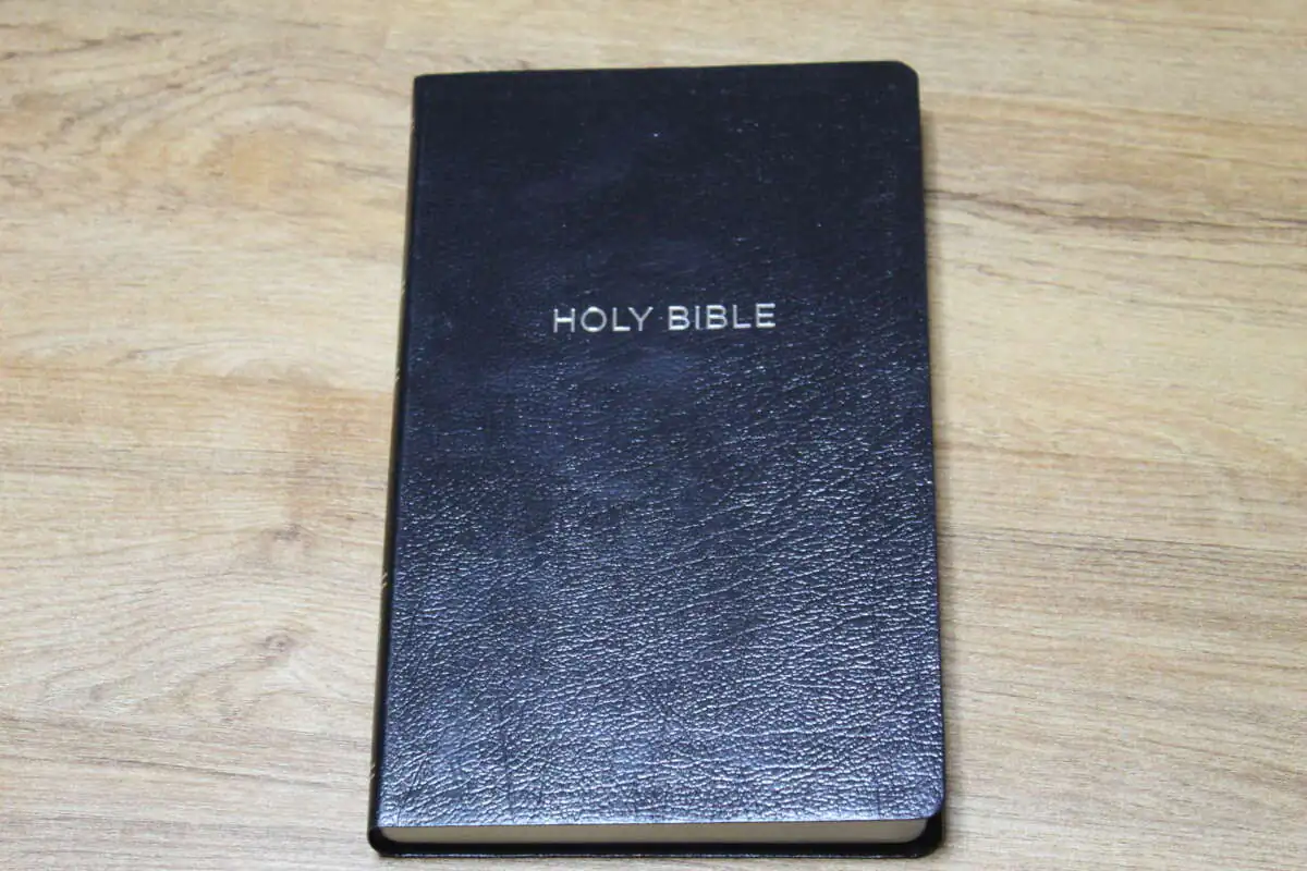 nkjv-thinline-reference-bible-3900-ii