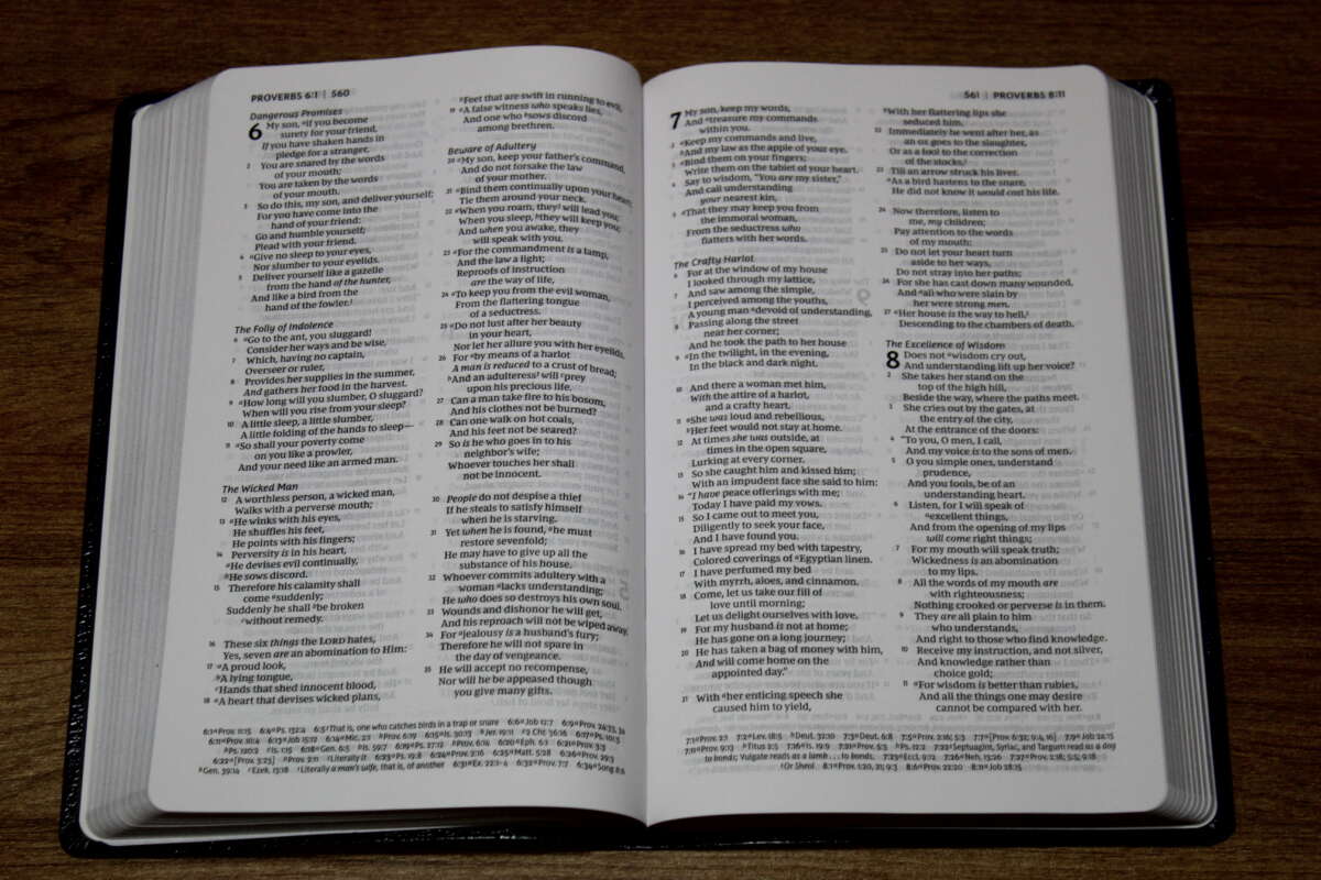 nkjv-thinline-reference-bible-3900