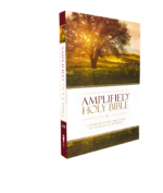 amplified-holy-bible-hard-paper-cover-rebirth
