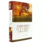 amplified-holy-bible-large-print-rebirth-1