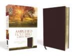 amplified-holy-bible-large-print-rebirth