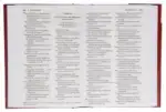 amplified-holy-bible-large-print-rebirth-ii