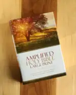 amplified-holy-bible-large-print-rebirth-vi
