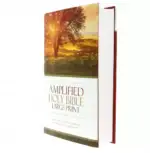 amplified-holy-bible-large-print-rebirthiii