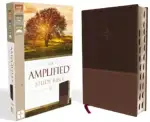 amplified-holy-bible-soft-cover-rebirth