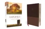 amplified-holy-bible-soft-cover-rebirth-ii
